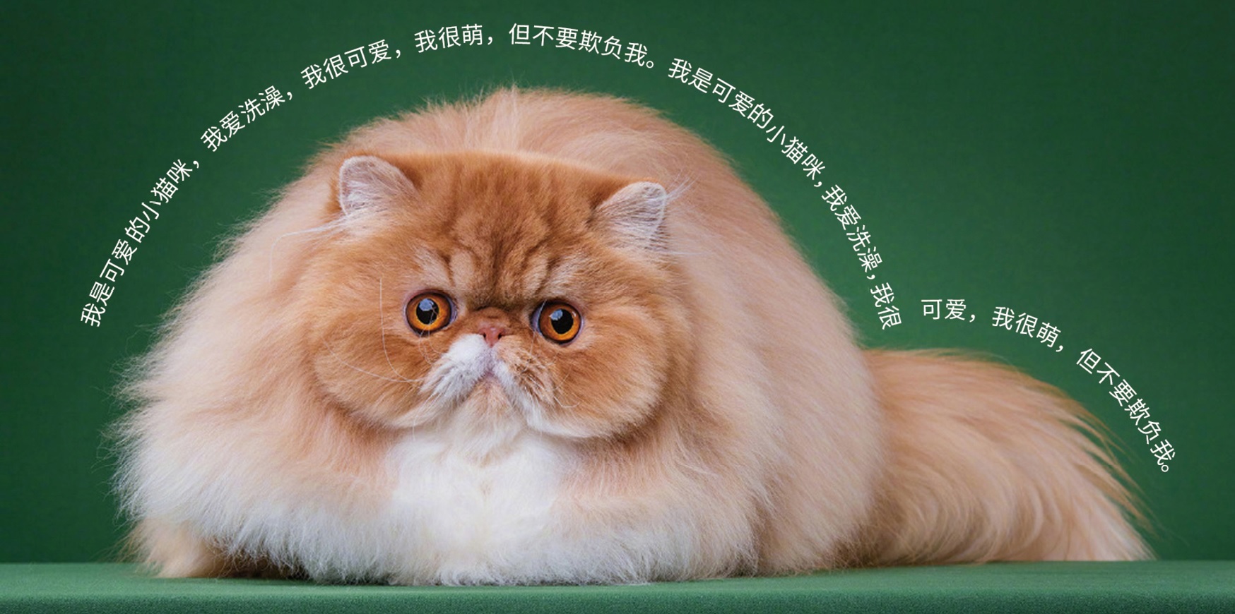 无标题8.jpg