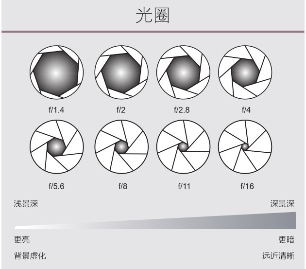 figure_0056_0066
